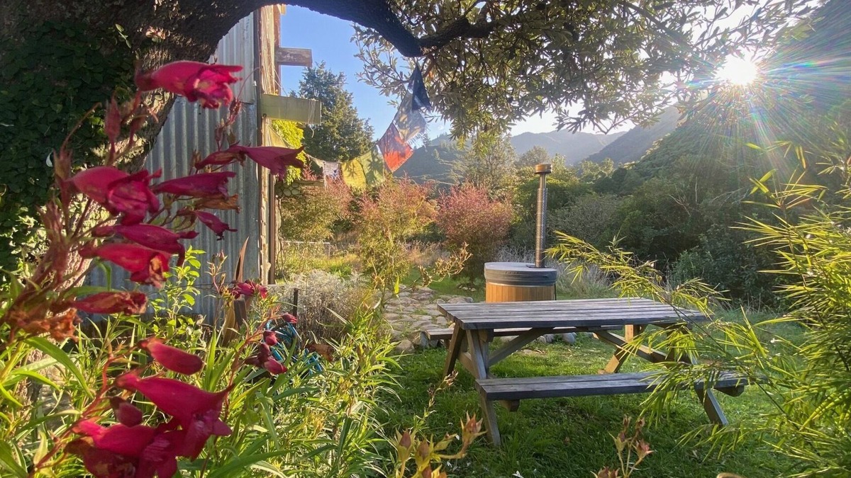 Kairuru Cabin | Alpacas Off Grid - Eco Cabin