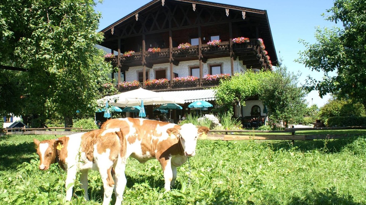Niederaudorf Hotel | Alpenhof Landhotel Restaurant