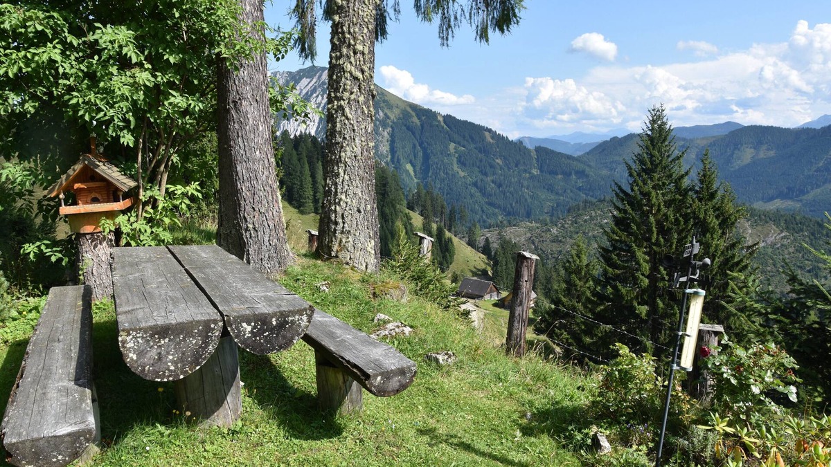 Spital am Pyhrn Cabin | Alpine hut in the Upper Austrian mountains