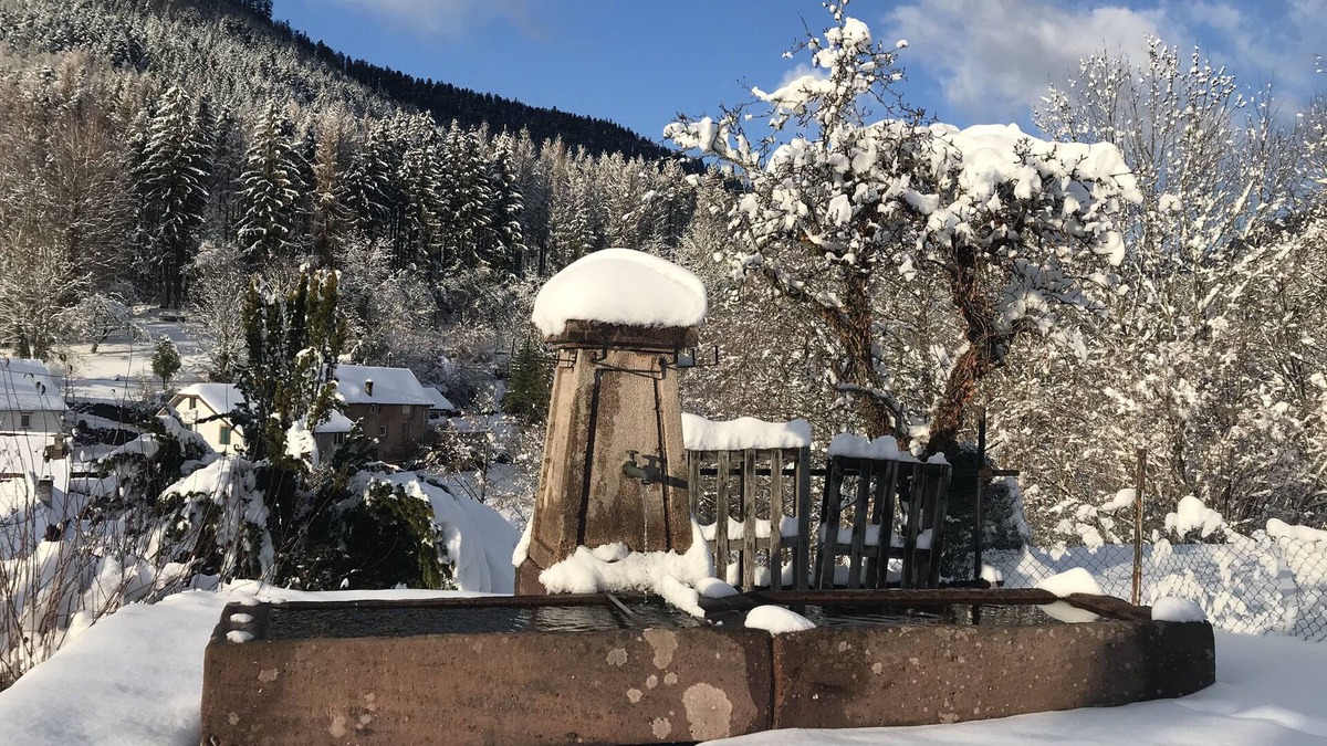 Raon-sur-Plaine House | Alsace border (Donon, Lakes) gîte 8/10 pers + 2 BB 5 bdrms (poss 4 pers 2/3 bdrms)