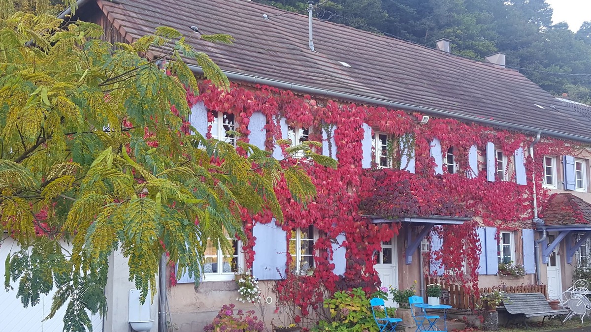 Fouchy Cottage | Alsace Cottage leaning against the hill overlooking the valley 15min from Haut-Kœnigsboug