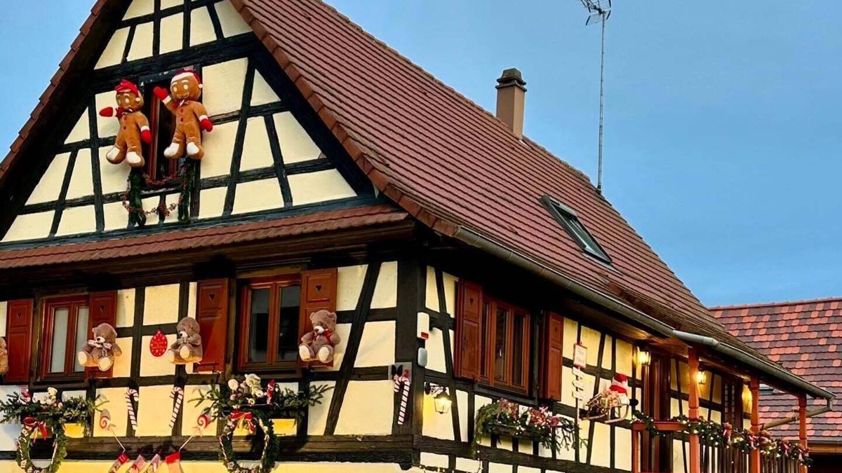 Hangenbieten Apartment | Alsace Gîte 3 * "Coeur de Cigogne" -15 minutes Strasbourg/Obernai