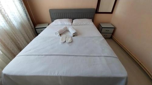 Gokcedere Apartment | ALTAY MOTEL