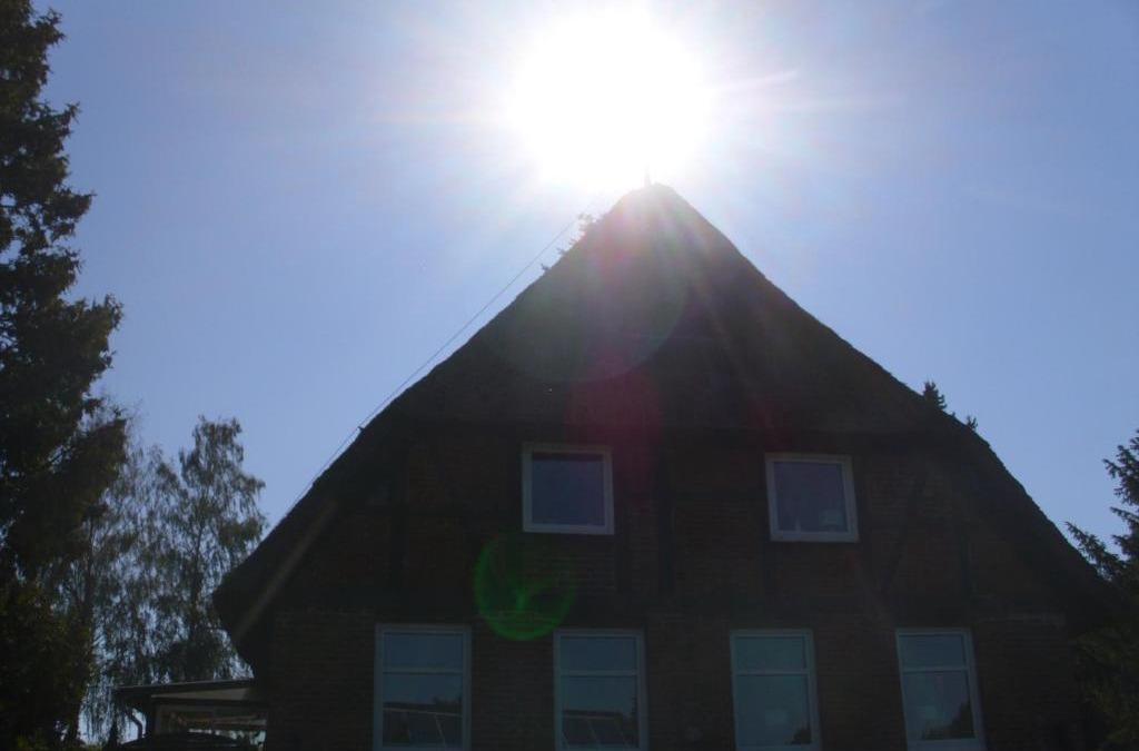 Mustin House | Alte Försterei