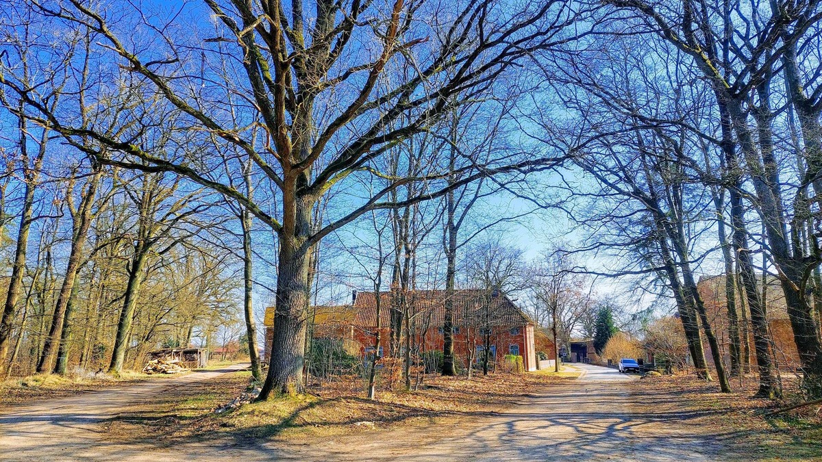 Graulingen Apartment | ALTE SCHEUNE vacation apartment for 4 people on the edge of the forest
