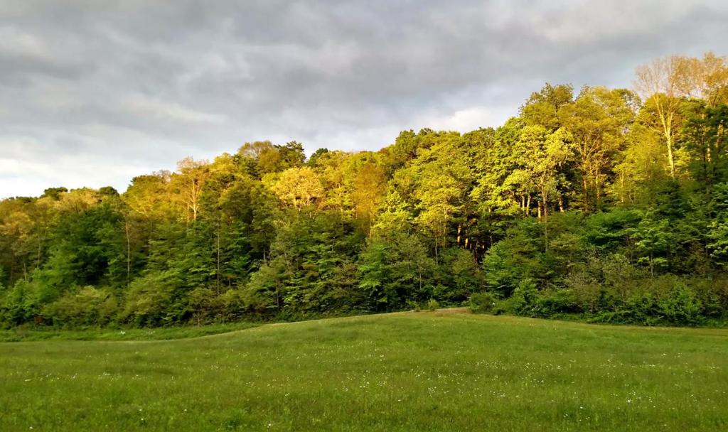 McArthur Other | Altenbrauch Farm - Camping in the Hocking Hills