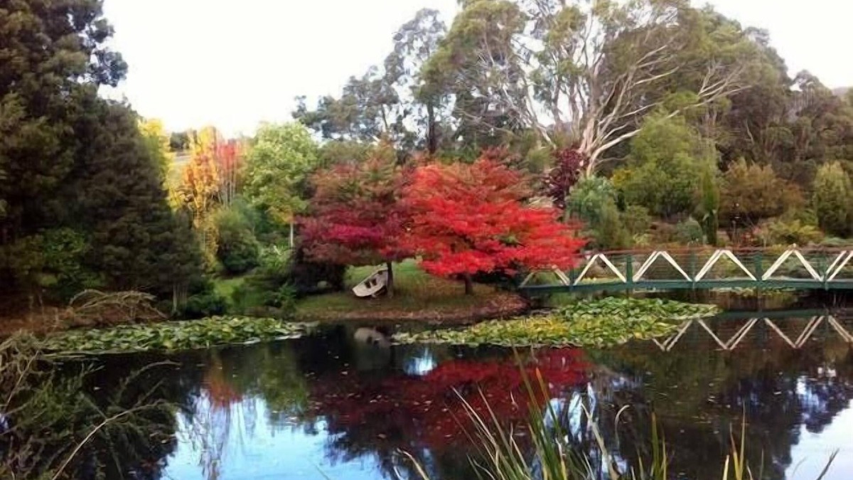 South Spreyton Cottage | ALTONA GARDEN RETREAT