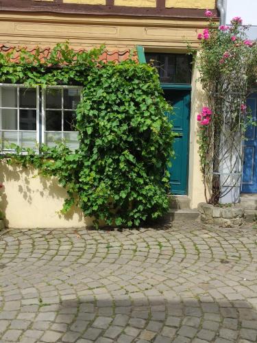 Altstadt Apartment | Altstadtnest