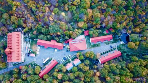 Tsaghkadzor Hotel | Alva Hotel & Spa