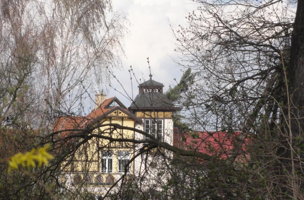 Olomouc House | Amálie Vila 1921 secesní nostalgie