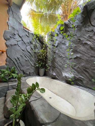 Kimbissa House | Ama Eco Lodge