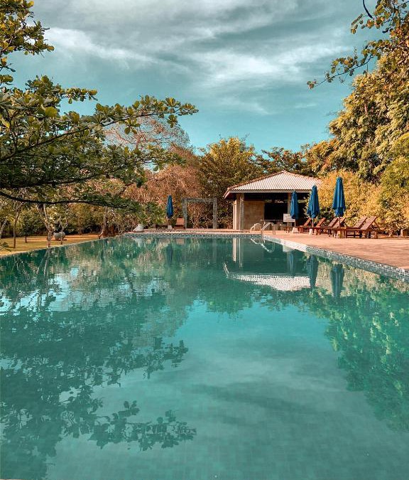 Dambulla Hotel | Amaara Forest Hotel Sigiriya
