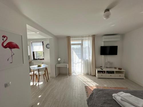 Iasi Apartment | AMADEUS IASI