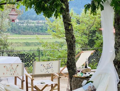 Amarante Villa | Amarante-Quinta D’Manuel Maria, Rural Charm Houses