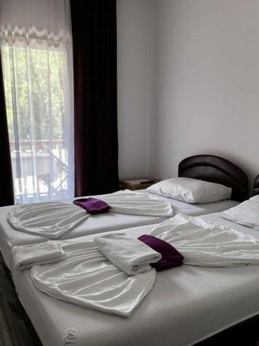 Rogatica Apartment | Amaro Rooms