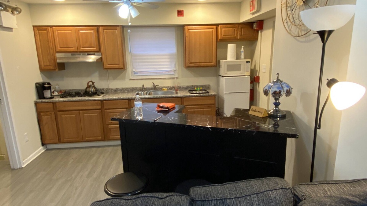 Green Tree Apartment | Amazing 1 bedroom unit in Pittsburgh City of Carnegie area PA.