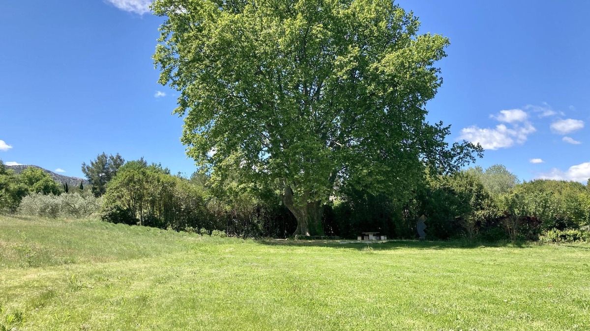 St.-Remy-de-Provence House | Amazing Mas provençal quiet and sunny, near St. Rémy-de-Provence, with safe pool