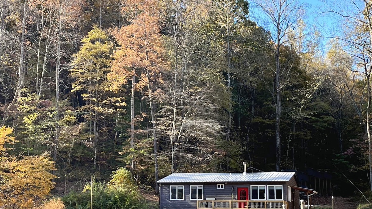 Lobelville House | Amazing Getaway! Forest Setting Outside Nashville Near Loretta Lynn's