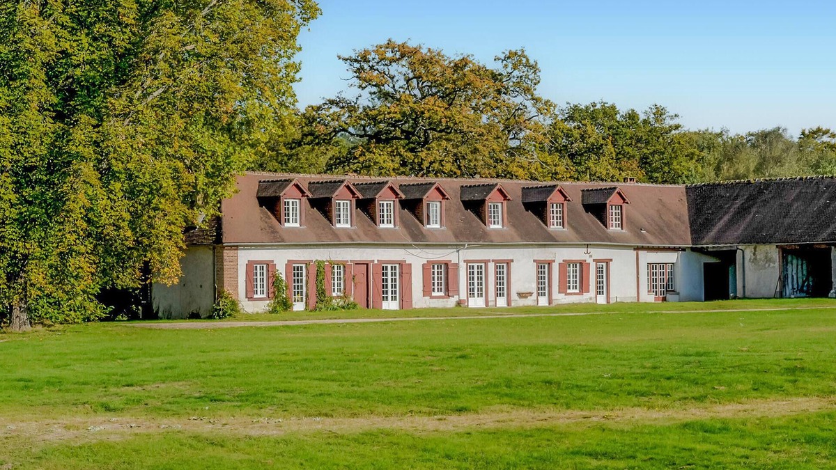 Ligny-le-Ribault House | Amazing home in Ligny Le Ribault