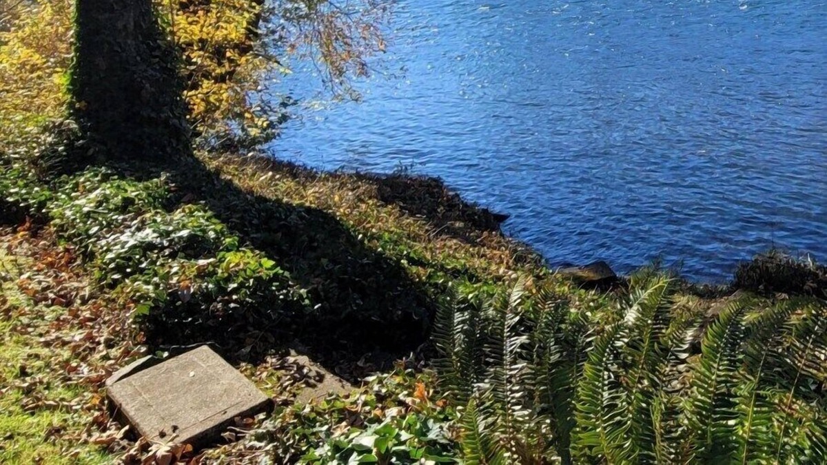 Marcola House | Amazing Home on the River!