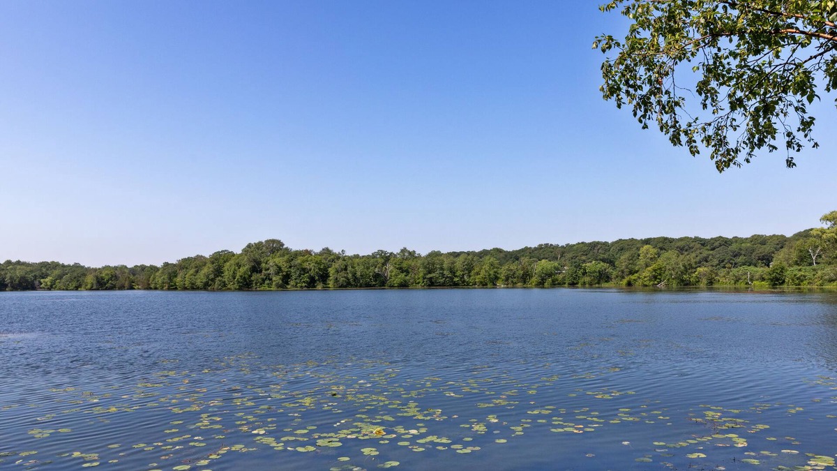 Zimmerman Cabin | Amazing Lakefront Cabin Close to Downtown Mpls!