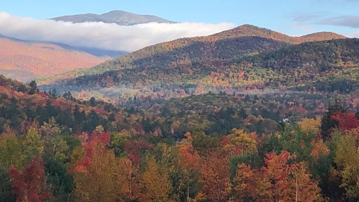 Jackson Condo | Amazing Mountain View Minutes from Story Land