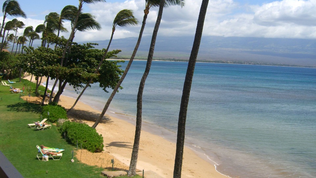 Maalaea Condo | Amazing Oceanfront Condo, Tropical Luxury, Great Value, 2 BR, 2 Bath