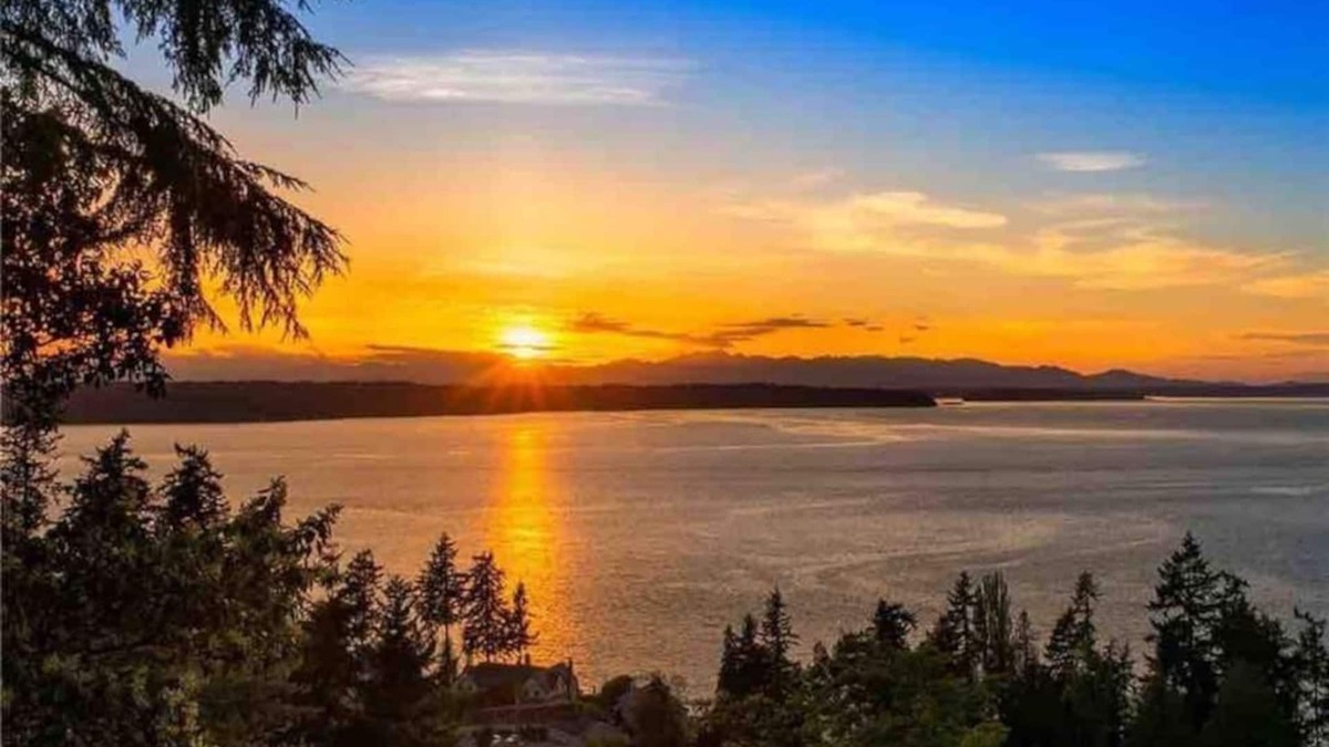 Three Tree Point Apartment | Amazing Puget Sound View House (Studio)