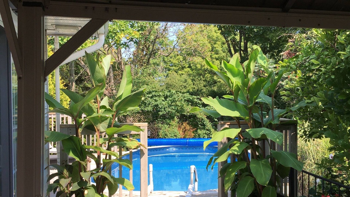 Port Rowan House | Amazing view, heated pool, gardens, beach, trails, wineries, shops & restaurants