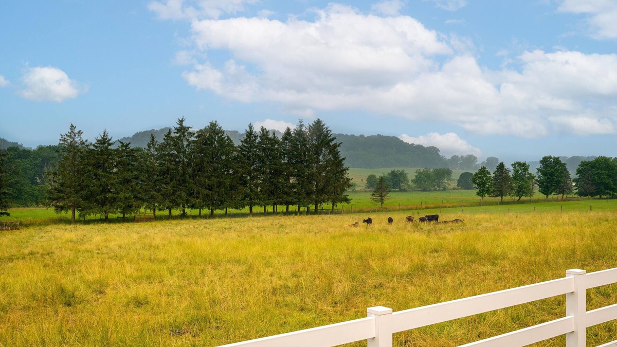 Navarre Other | Amazing views, hot tub/outdoor fireplace, countryside, farm with calves & goats.