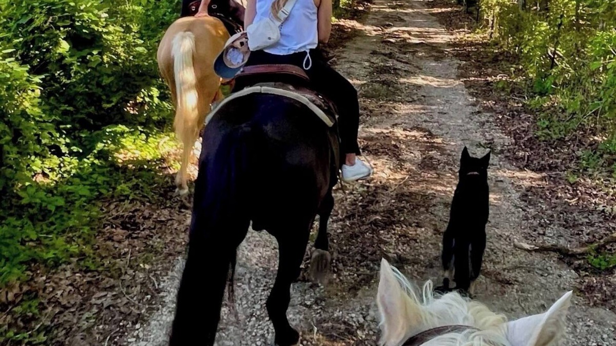Doe Run RV Rental | Amazing Views, Unique Tee Pee Camping. Trail Rides on site. Pet Friendly!