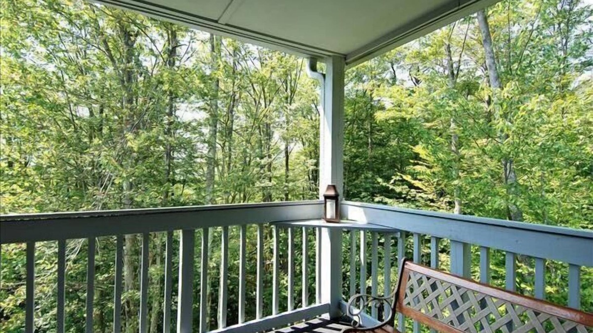 Davis Condo | Amazingly affordable lodging in the center of Canaan Valley!
