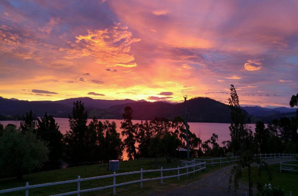 Wattle Grove Bed & Breakfast | Ambience on Huon Bed & Breakfast