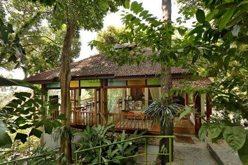 Pantai Tengah Cabin | Ambong Rainforest Retreat