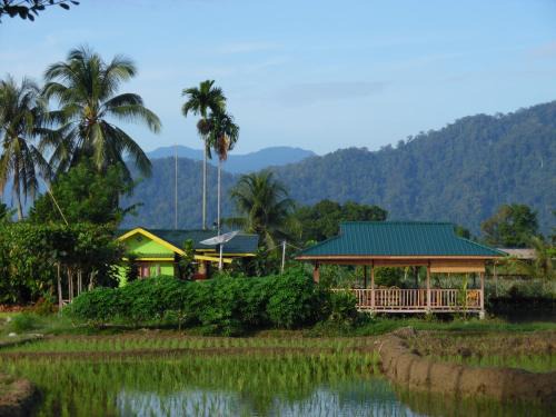 Bohorok House | AMBOW Homestay Jungle Trekking & Village Tour