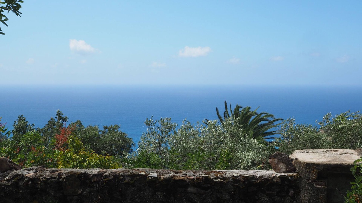 Bonassola House | Among olive trees and lavender, small detached house with garden and private parking