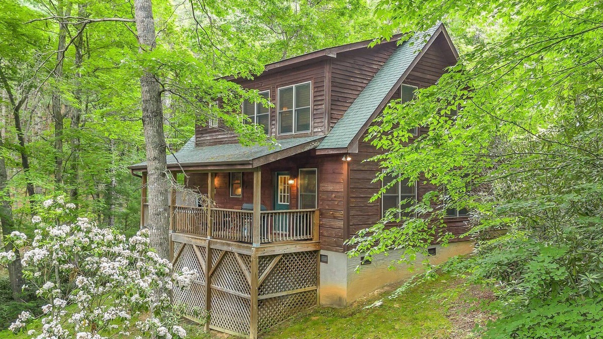 Fleetwood Cabin | Among the Laurels and Trees: Private Hot Tub + Fire Pit