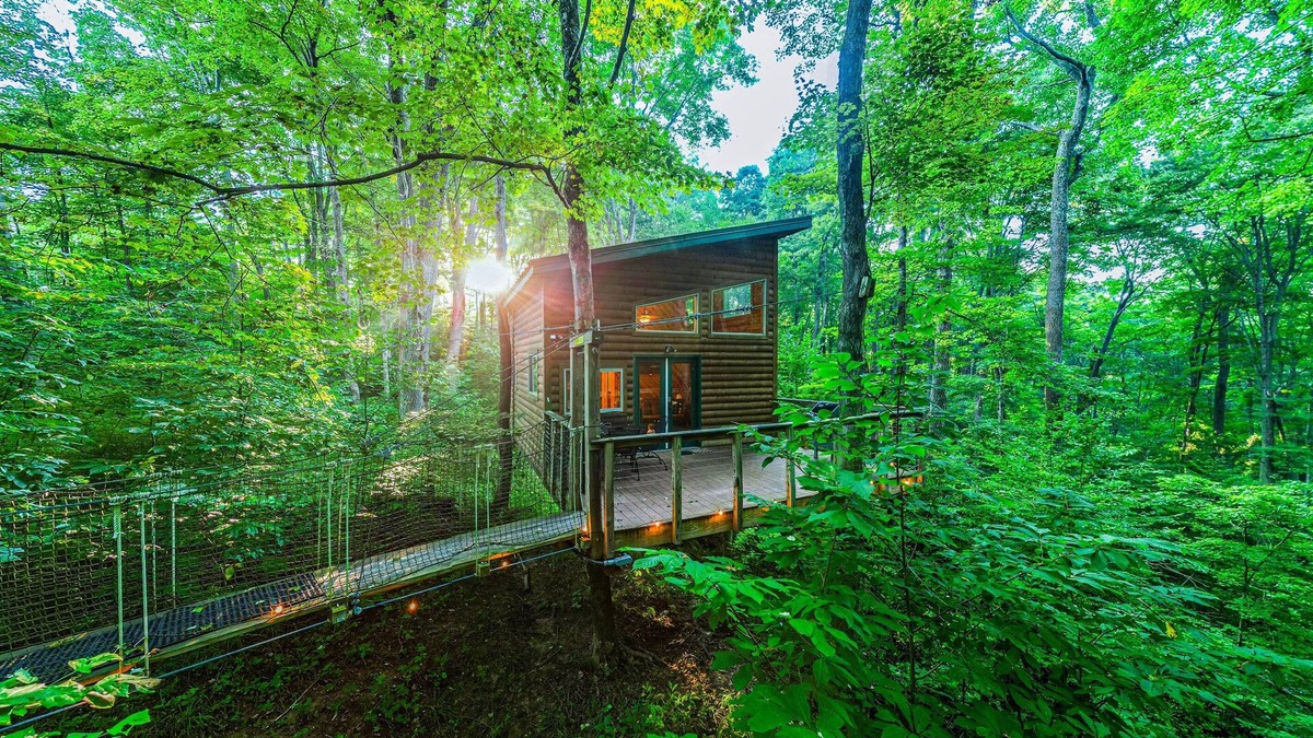 Logan Cabin | Among the Trees - The Library
