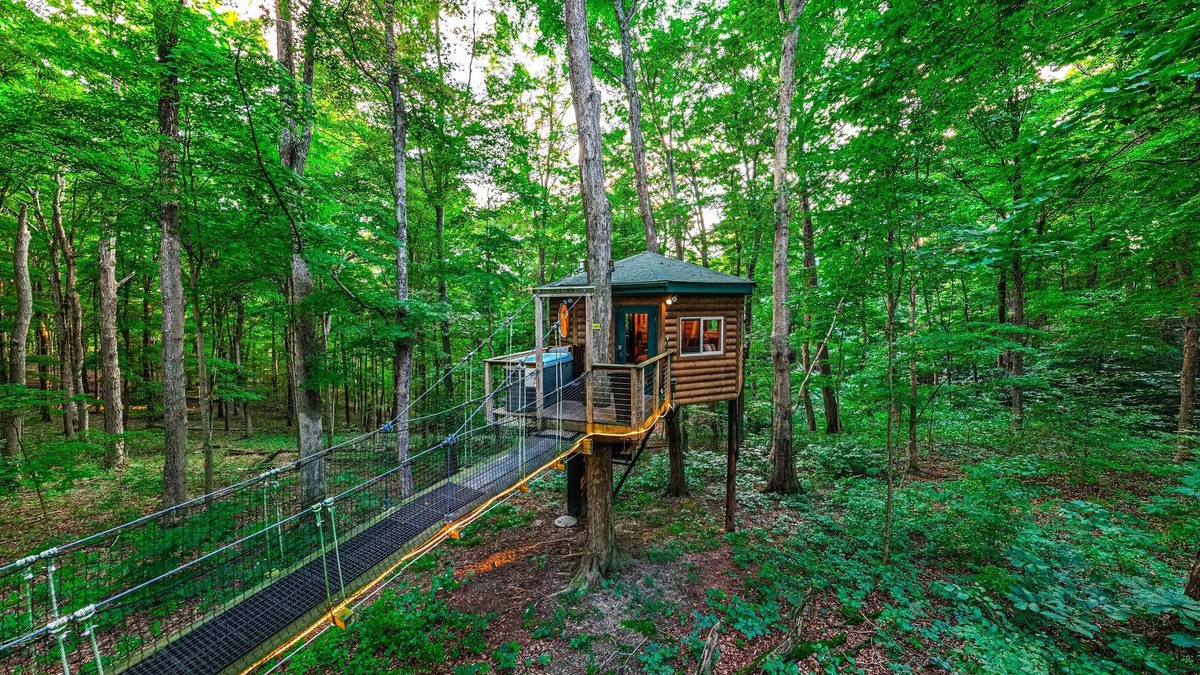 Logan Cabin | Among the Trees - The Nest