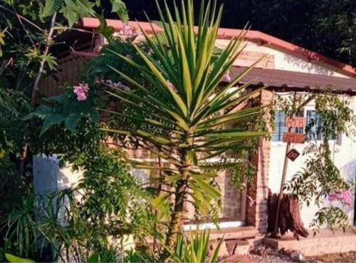 San Luis House | Amor amor