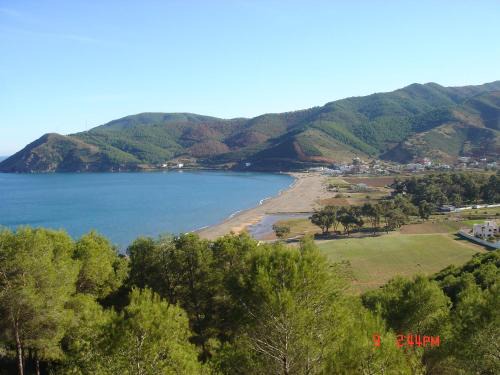 Amsa Apartment | Amsabeach
