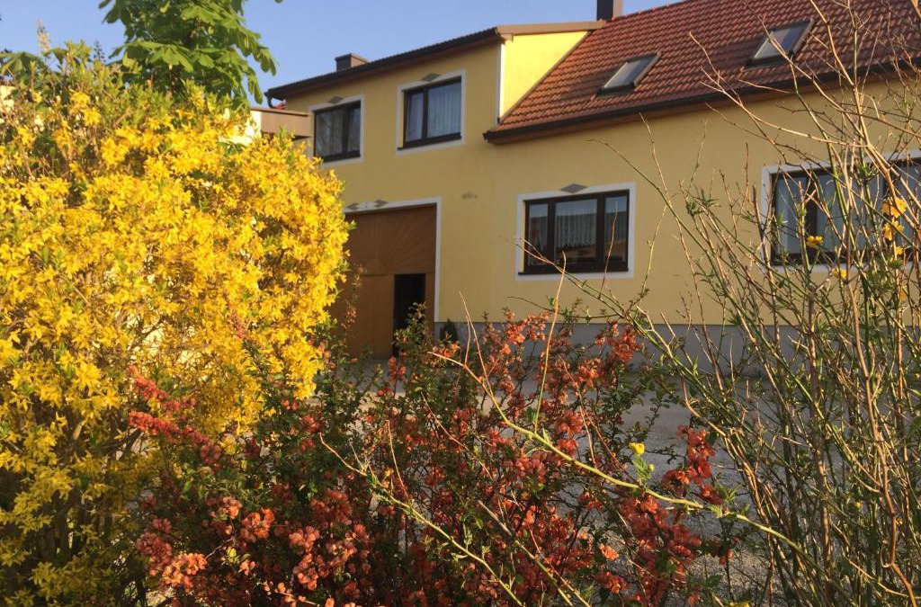 Waldenstein Apartment | Amstetter’s Ferienwohnung