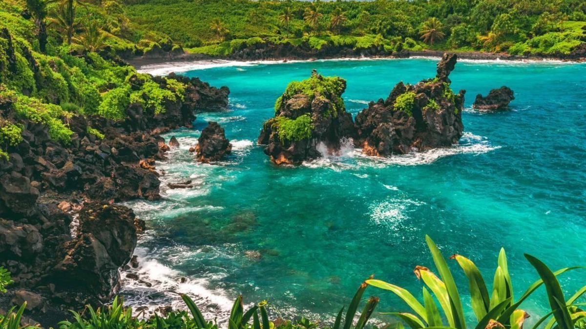 Kahului Apartment | An Adventure Awaits! 4 Gorgeous Ocean View Units! Pet-Friendly, Pool