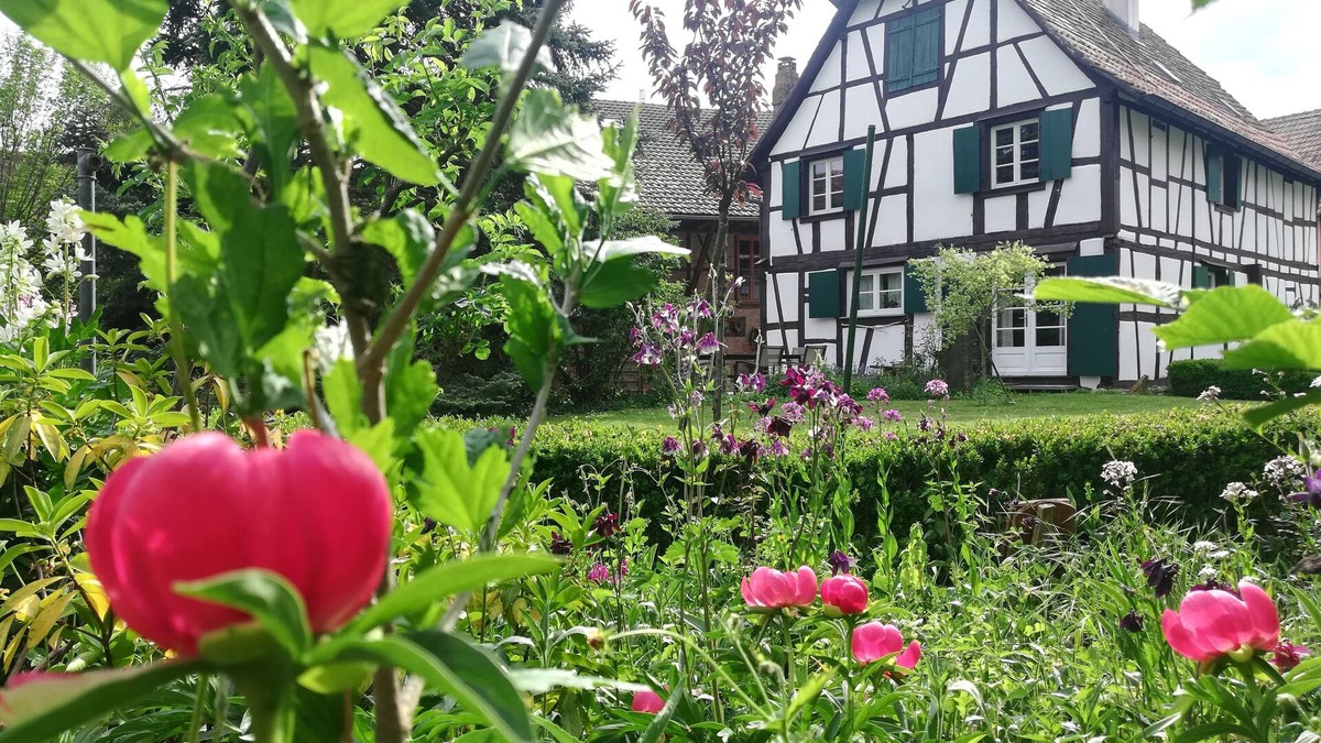 Ohnenheim House | An Alsatian House