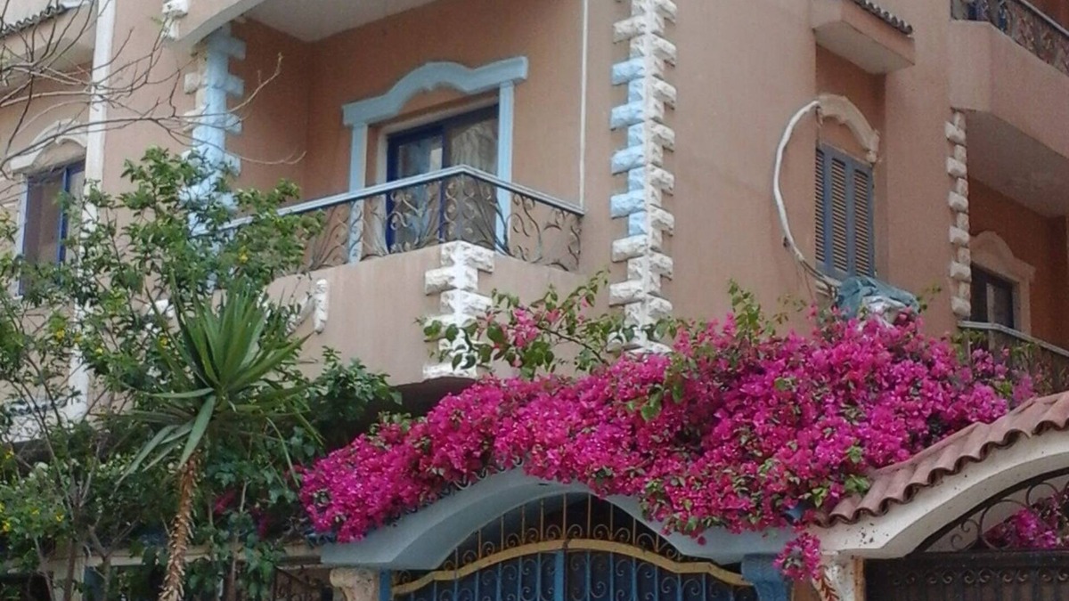Obour City Apartment | An apartment in villa of univ. Professor with special entrance