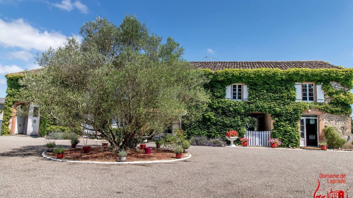 Graulhet House | An area of tranquility, comfort and simplicity.