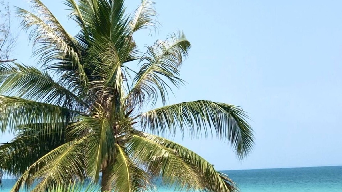Koh Rong Hotel | Anaya Koh Rong