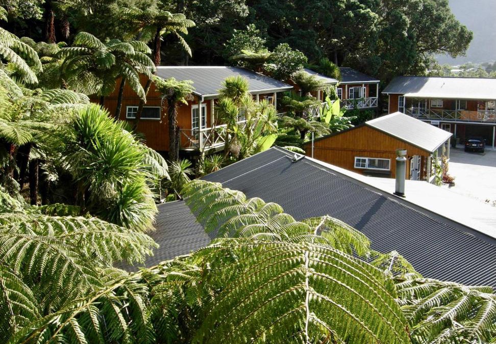 Coromandel Hotel | Anchor Lodge Motel