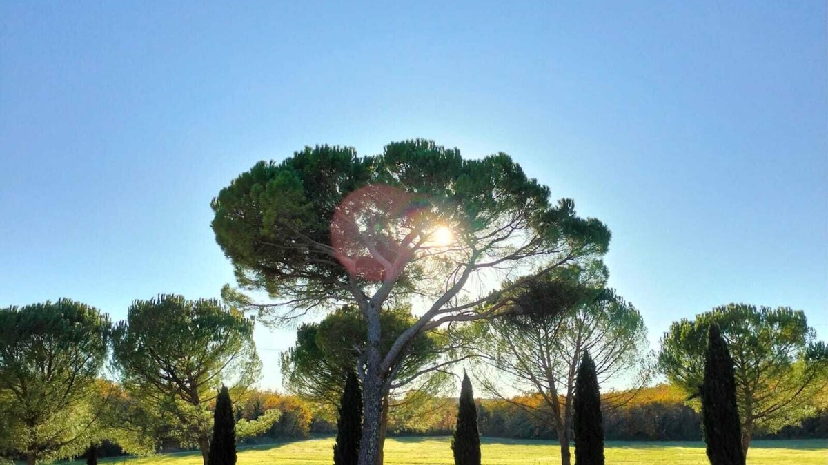 Colle di Val d'Elsa House | Ancient village : History and Nature in the silence of the countryside.