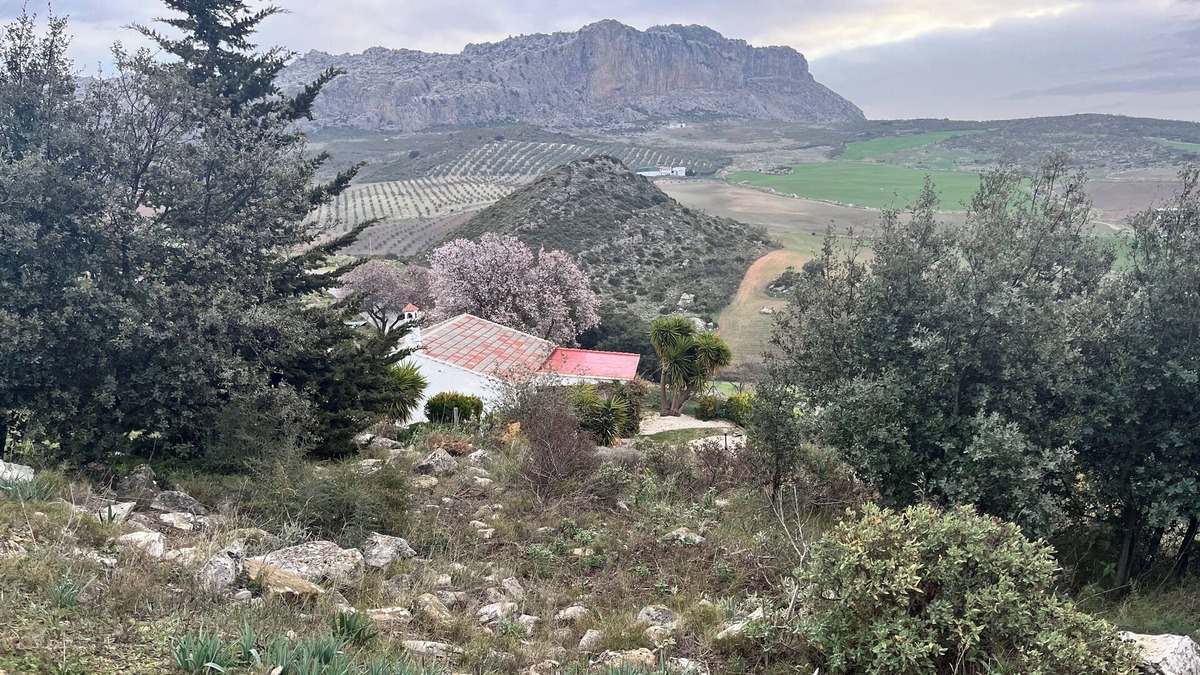 Antequera Cottage | Andalucían Serenity at El Torcál